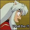 Inuyasha stunned, 'What the-?!' under him